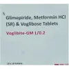 Voglibite GM 1/0.2 mg - Strip of