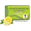 Tetmosol Medicated Soap - Bar of 100